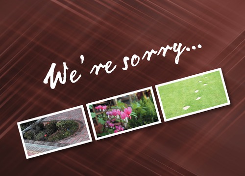 Garden Maintenance A6 Leaflets by SC Creative 