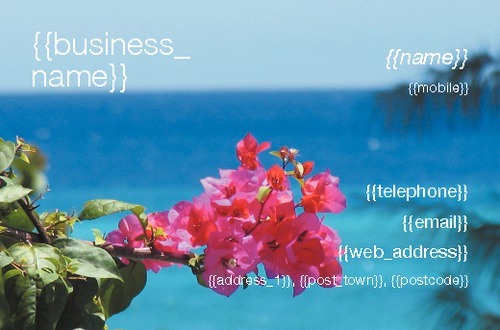 Florist Business Card  by Mr Daryl Edgecombe 