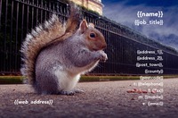 Animals Business Card  by  