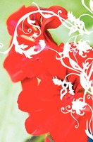 Event Organisers Business Card  by 