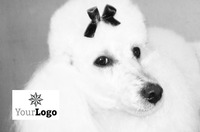Animals Business Card  by  