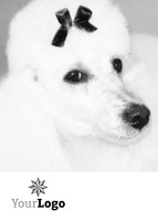 Animals A6 Leaflets by  