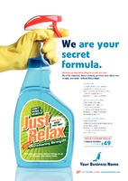 Cleaning A4 Leaflets by Templatecloud 
