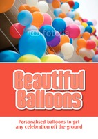Balloon Modellers A4 Leaflets by  