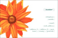 Garden Maintenance Business Card  by  