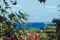 Artist Business Card  by  